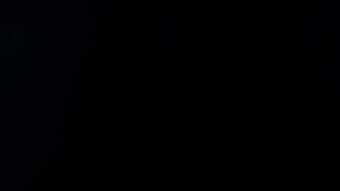 kvicali online show from December 2024 03:46:02 PM