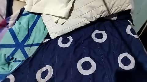 Snapshot of l0c0fundias chatting on September 2025 07:08:01 AM l0c0fundias online show from September 2025 07:08:01 AM