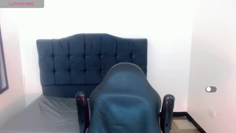 AriSaray online show from December 2024 05:23:02 PM