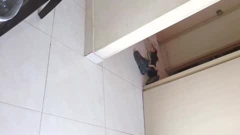 Bruno Smith online show from December 2025 06:04:01 PM