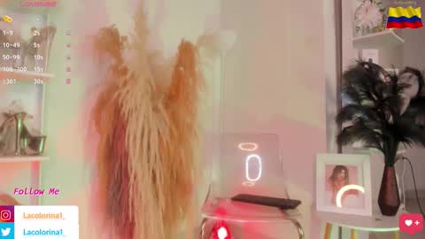 Colorina  online show from November 2025 04:07:01 PM