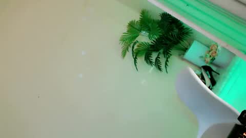 Stella online show from September 2025 10:26:01 PM