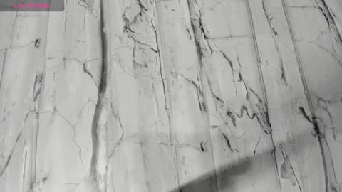 laiily bell online show from February 2026 12:25:01 PM