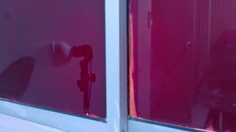 Laura online show from November 2025 12:05:01 PM