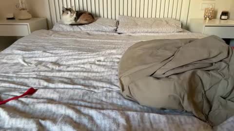 Lana online show from February 2025 02:16:01 PM