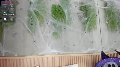 lana_lann online show from October 2025 11:47:02 AM