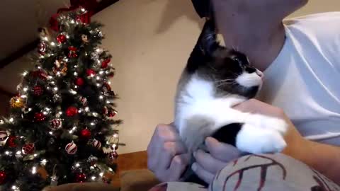 Lance online show from December 2024 01:04:02 AM