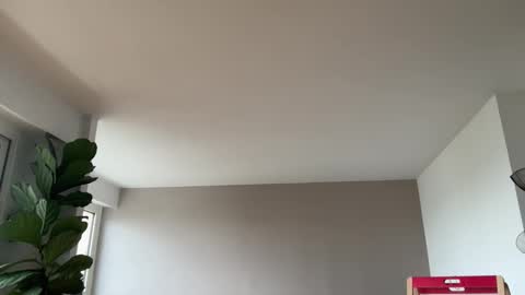 Lanimal online show from October 2025 08:00:01 AM