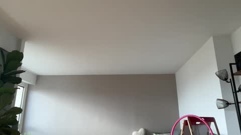 Lanimal online show from October 2025 08:51:02 AM