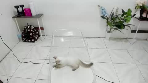 Snapshot of laspagera chatting on February 2026 05:47:02 AM Kendra online show from February 2026 05:47:02 AM