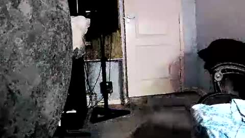 latexchris77 online show from February 2026 02:11:02 PM