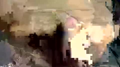 joseph online show from December 2024 06:33:01 PM