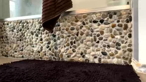 latinlover199518 online show from April 2026 01:23:01 PM