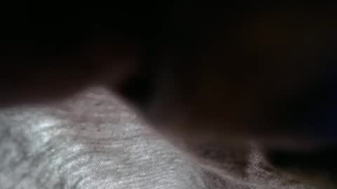 Snapshot of launeeee1 chatting on February 2026 02:55:02 PM launeeee1 online show from February 2026 02:55:02 PM