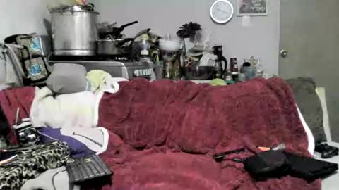 lauradecuada2 online show from February 2026 04:38:02 AM