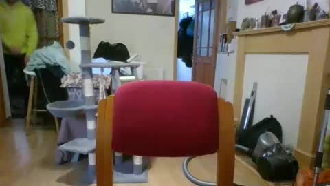 Snapshot of lauratedomm chatting on March 2026 04:00:01 PM lauratedomm online show from March 2026 04:00:01 PM