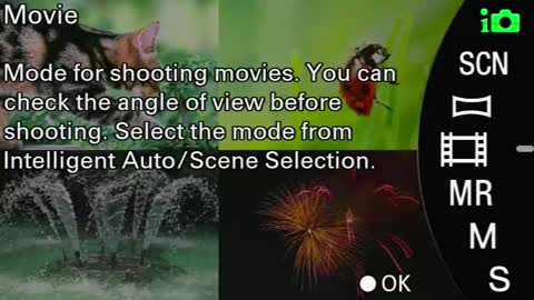 Monica online show from September 2025 08:39:01 AM