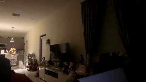 law_cambio online show from December 2024 11:31:02 AM