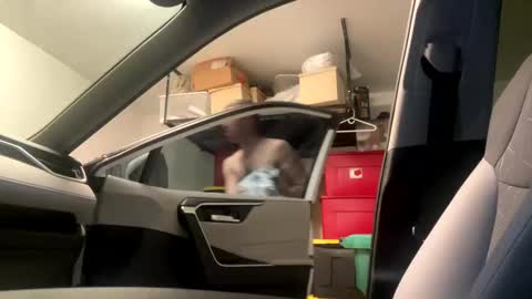 law_cambio online show from March 2025 08:31:02 PM