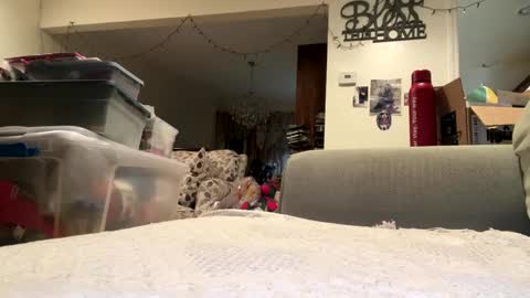 lawrencegreg106 online show from September 2025 01:09:01 AM