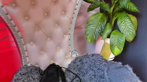 Snapshot of layla_707 chatting on October 2025 06:47:01 PM Layla online show from October 2025 06:47:01 PM