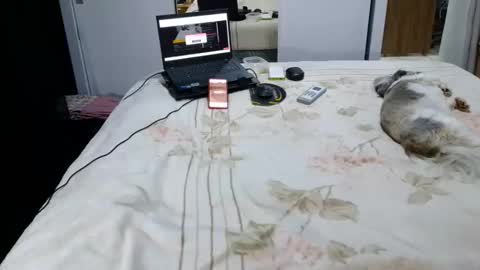 Snapshot of laylabrasil chatting on October 2025 04:54:01 AM kelly online show from October 2025 04:54:01 AM