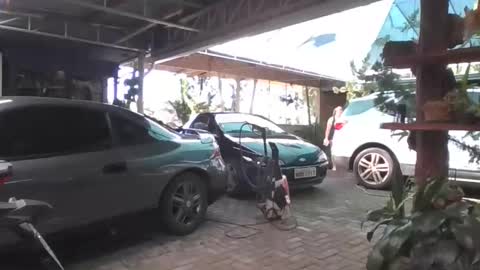 kelly online show from April 2026 05:56:01 PM