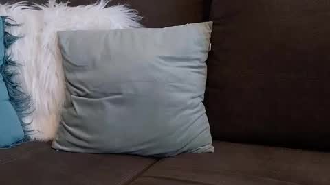 lazlow2000 online show from January 2026 07:44:01 AM