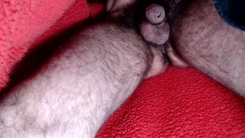 leccameloadesso2 online show from February 2025 09:15:02 PM