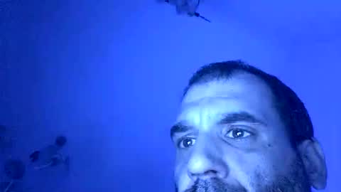 lechebizvm online show from November 2025 11:37:02 PM