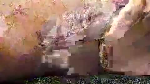 legofactory online show from January 2025 04:52:02 AM