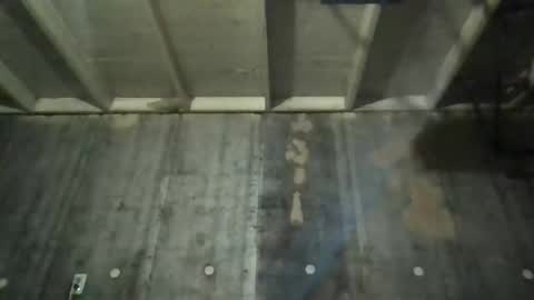 leo199984 online show from November 2025 04:33:02 AM