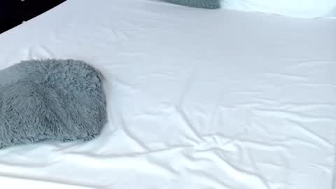 LUCY online show from February 2025 11:04:02 PM