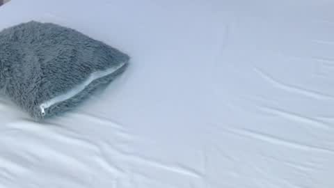 LUCY online show from November 2025 08:55:01 PM