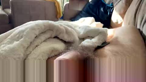 Snapshot of letgetnaughty12345 chatting on March 2026 12:31:01 PM letgetnaughty12345 online show from March 2026 12:31:01 PM