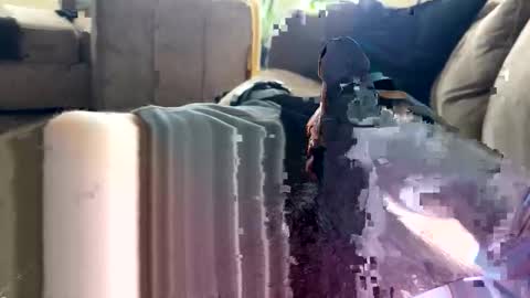 Snapshot of letgetnaughty12345 chatting on March 2026 03:06:02 PM letgetnaughty12345 online show from March 2026 03:06:02 PM