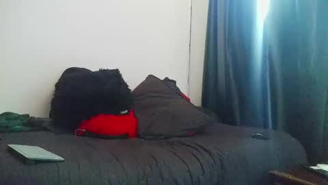 Snapshot of letorres23 chatting on April 2026 12:36:01 PM Torres online show from April 2026 12:36:01 PM