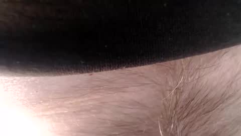 letshot4you online show from March 2026 10:29:01 AM