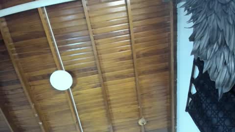 LevySteven online show from November 2025 10:59:02 PM