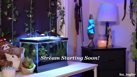 Snapshot of lex_taylor chatting on January 2025 04:15:01 AM Lex online show from January 2025 04:15:01 AM