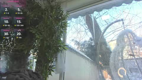 lexi_storm online show from January 2026 07:46:02 AM