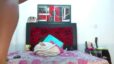 lexistone  online show from June 2026 07:19:02 PM