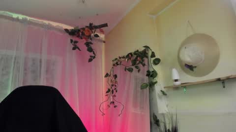   online show from December 2024 02:34:02 AM