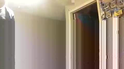 Snapshot of lie2ne chatting on November 2025 03:50:01 PM lie2ne online show from November 2025 03:50:01 PM