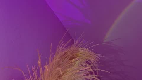 Liiam Luna online show from January 2026 09:14:02 AM