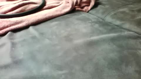 like2405 online show from April 2026 10:21:02 AM