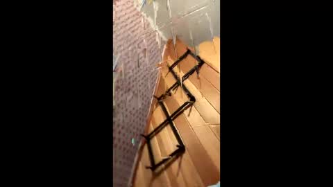 likewhatchasee online show from June 2026 04:46:02 AM