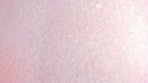 L I L A   online show from February 2025 06:38:01 PM