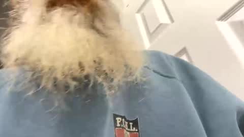 lilchaps69 online show from February 2026 05:46:02 AM