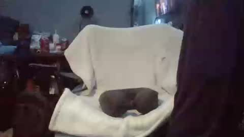 lildman420 online show from March 2026 09:42:02 PM